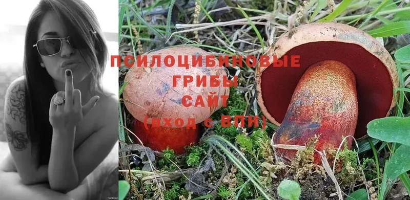 где продают наркотики  Глазов  Галлюциногенные грибы Psilocybine cubensis 